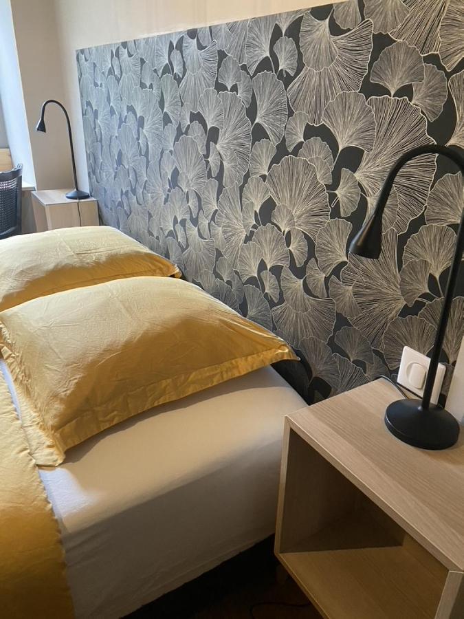 Ginkobiloba : Appartement Cosy En Coeur De Ville Bagnères-de-Bigorre Екстериор снимка