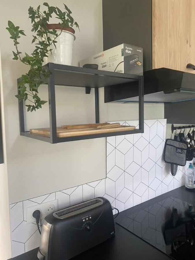 Ginkobiloba : Appartement Cosy En Coeur De Ville Bagnères-de-Bigorre Екстериор снимка